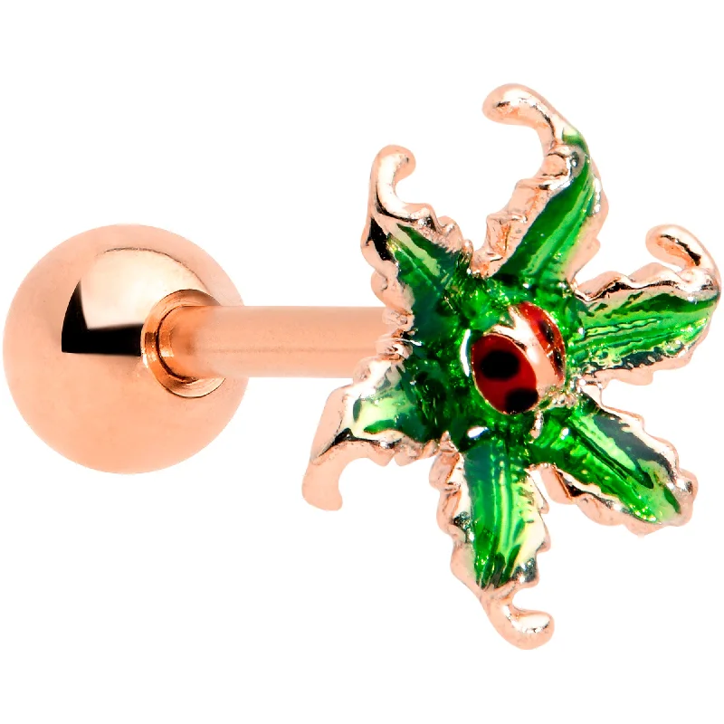 Women's Earrings – Elegant Designs for Every Personality--16 Gauge 1/4 Rose Gold Tone Tiny Ladybug Leaves Cartilage Tragus Women's Earrings – Elegant Designs for Every Personality--16 Gauge 1/4 Rose Gold Tone Tiny Ladybug Leaves Cartilage Tragus