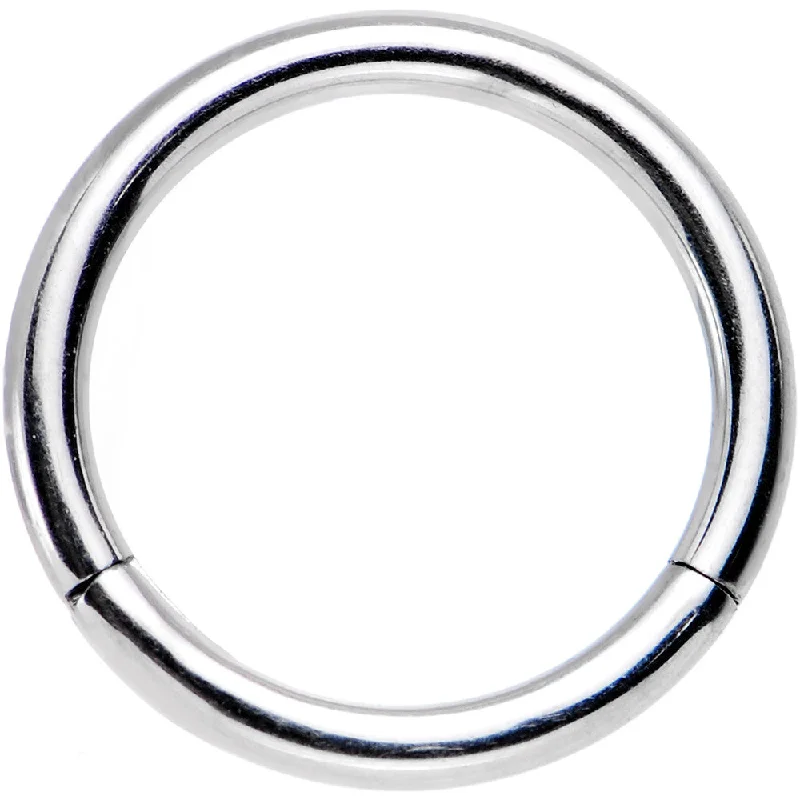 Statement Nose Rings -16 Gauge 5/16 Stainless Steel Hinged Segment Ring