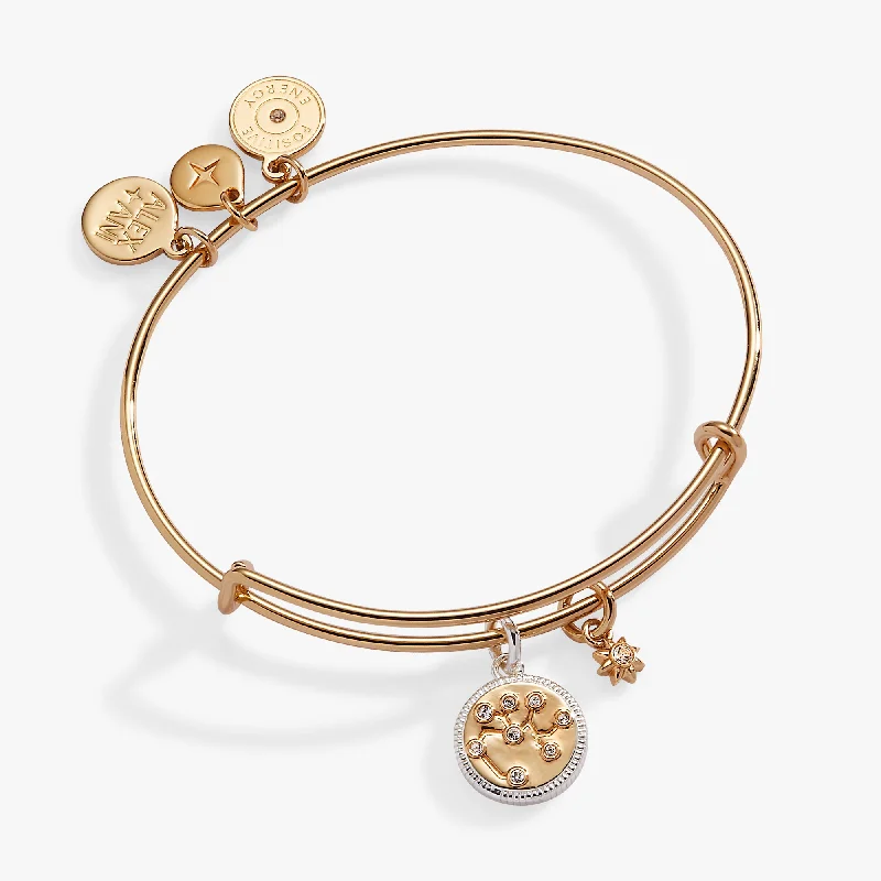 Round Bangles for Women-Sagittarius Zodiac Charm Bangle