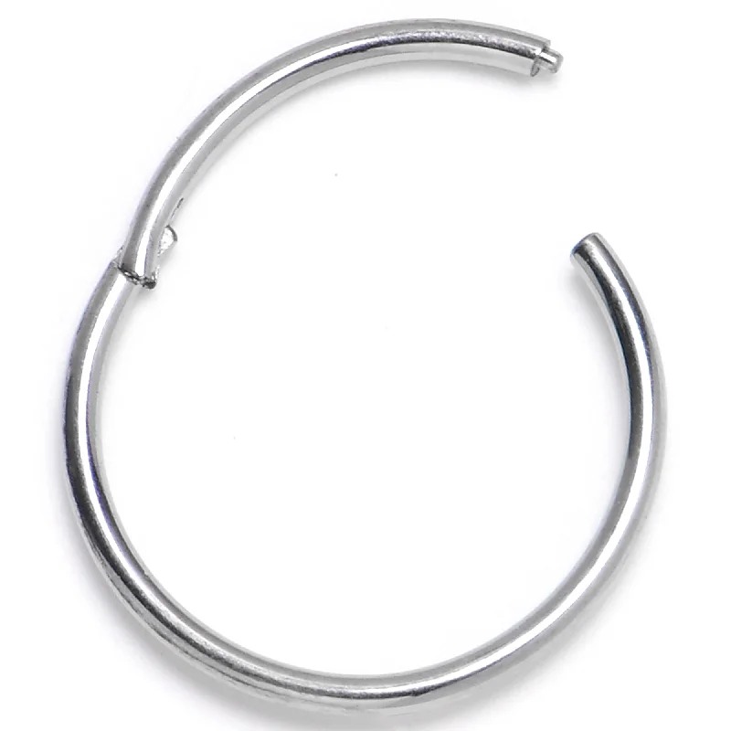 Chic Nose Rings for Fashionistas -20 Gauge 3/8 ASTM F-136 Titainum Percision Hinged Segment Hoop Chic Nose Rings for Fashionistas -20 Gauge 3/8 ASTM F-136 Titainum Percision Hinged Segment Hoop