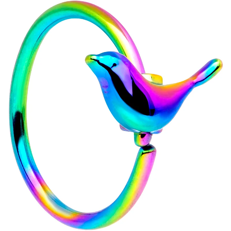Modern Nose Rings for Women -20 Gauge 5/16 Rainbow Bird Nose Hoop