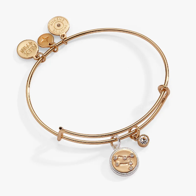 Luxury Silver Bangles for Women-Gemini Zodiac Charm Bangle