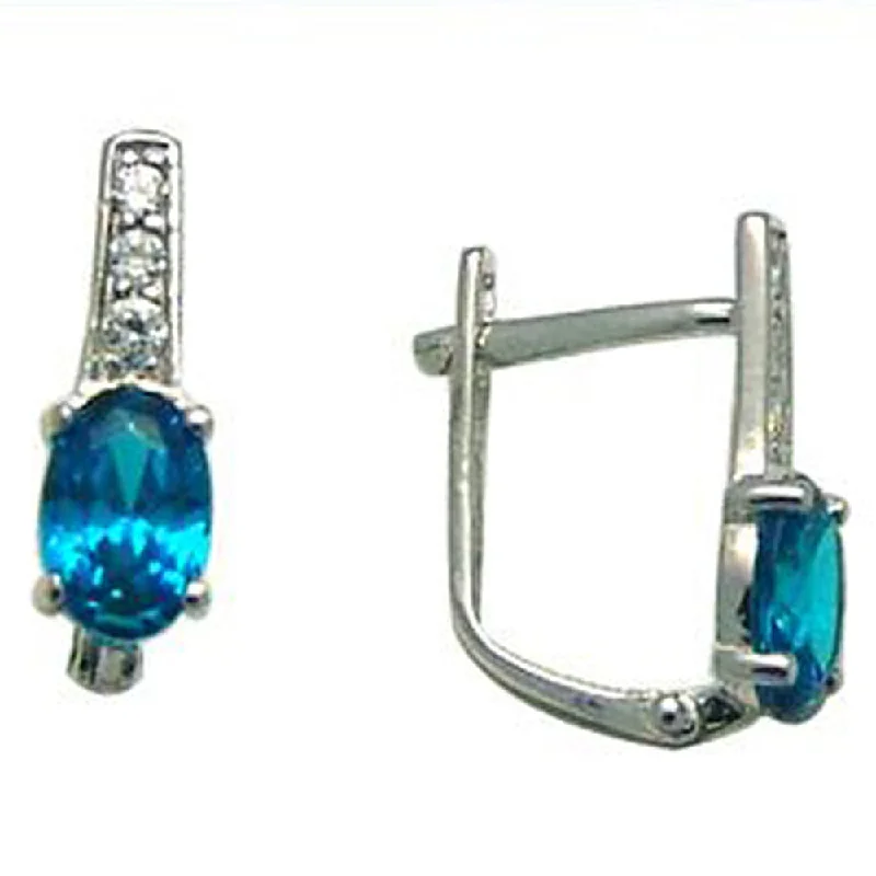 Women's Earrings – Elegant Designs for Every Personality--14kt White Gold CZ December Birthstone Leverback Earrings