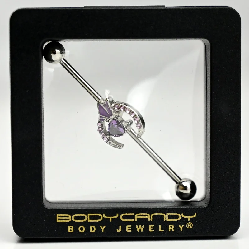 Women's Earrings – Elegant Designs for Every Personality--14 Gauge Purple Gem Moon Butterfly Heart Industrial Barbell 38mm