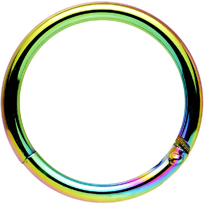 Stunning Lip Rings for Fashion-Loving Women16 Gauge 3/8 Rainbow Anodized Hinged Segment Ring