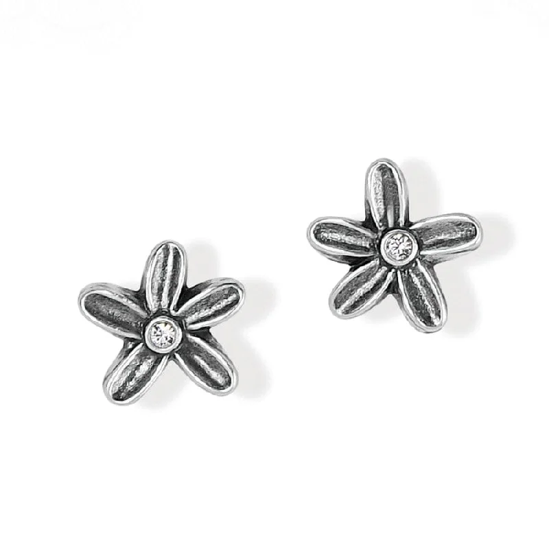 Women's Earrings – Elegant Designs for Every Personality--Wild Flowers Post Earrings