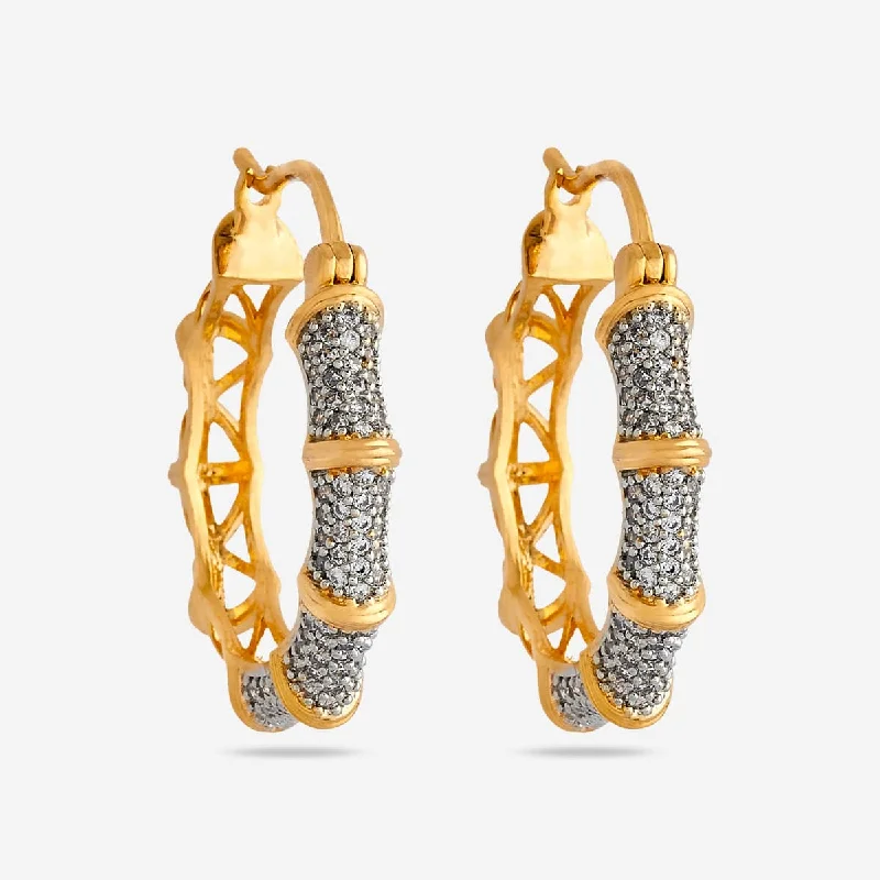 Women's Earrings – Elegant Designs for Every Personality--Zircon Earring 167817