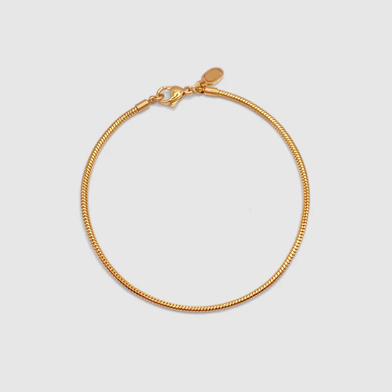 Rope and Metal Bracelets for Men-Snake Bracelet (Gold) 2mm