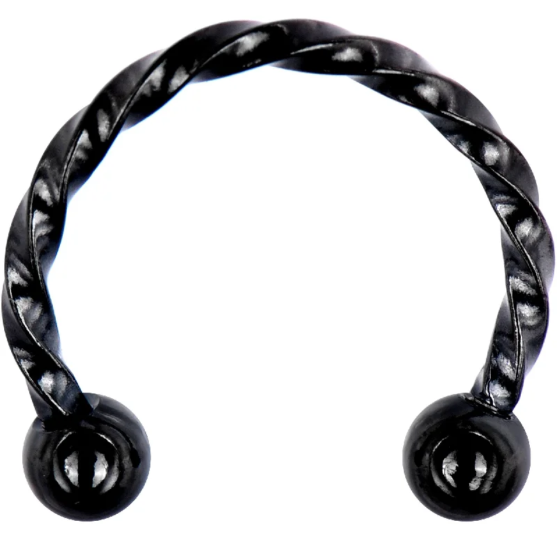 Women's Earrings – Elegant Designs for Every Personality--16 Gauge 3/8 Black Seriously Twisted Horseshoe Circular Barbell