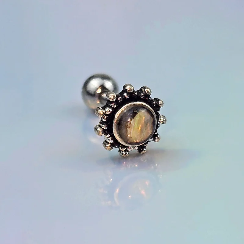 Women's Earrings – Elegant Designs for Every Personality--16 Gauge 1/4 Brown Faux Shell Circle Of Glam Cartilage Tragus Earring Women's Earrings – Elegant Designs for Every Personality--16 Gauge 1/4 Brown Faux Shell Circle Of Glam Cartilage Tragus Earring