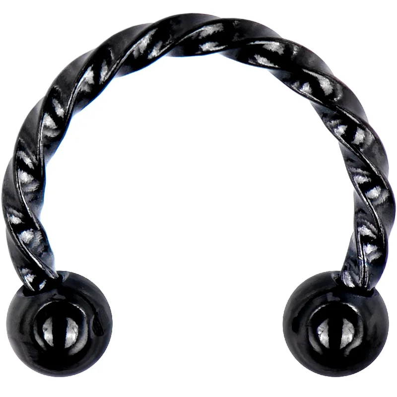 Women's Earrings – Elegant Designs for Every Personality--16 Gauge 5/16 Black IP Seriously Twisted Horseshoe Circular Barbell
