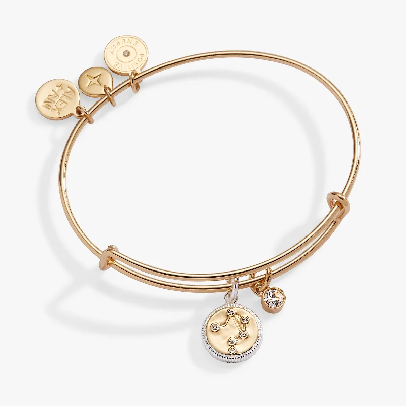 Women's Bangles with Silver and Gemstone Inlays-Libra Zodiac Charm Bangle