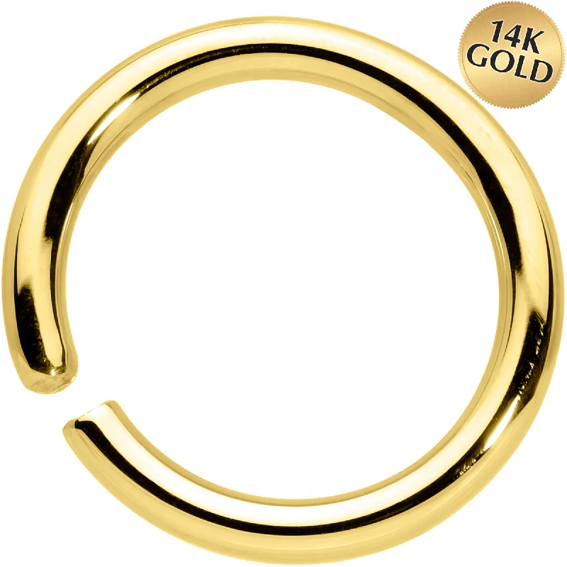 Modern Lip Rings for Fashion Lovers14 Gauge 3/8 Handcrafted Solid 14k Yellow Gold Seamless Circular Ring Modern Lip Rings for Fashion Lovers14 Gauge 3/8 Handcrafted Solid 14k Yellow Gold Seamless Circular Ring