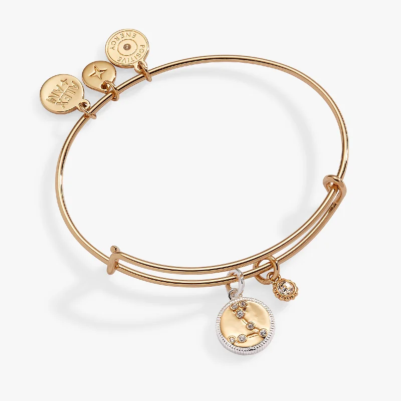 Bangles for Women with Unique Patterns-Pisces Zodiac Charm Bangle