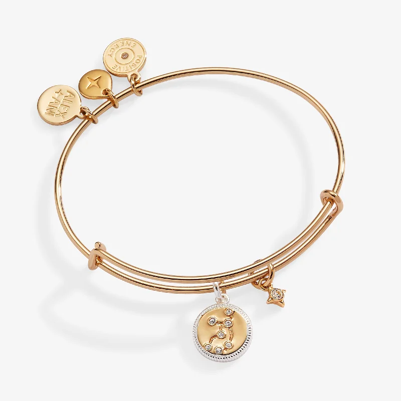Luxurious Bangles for Women with Gems-Virgo Zodiac Charm Bangle