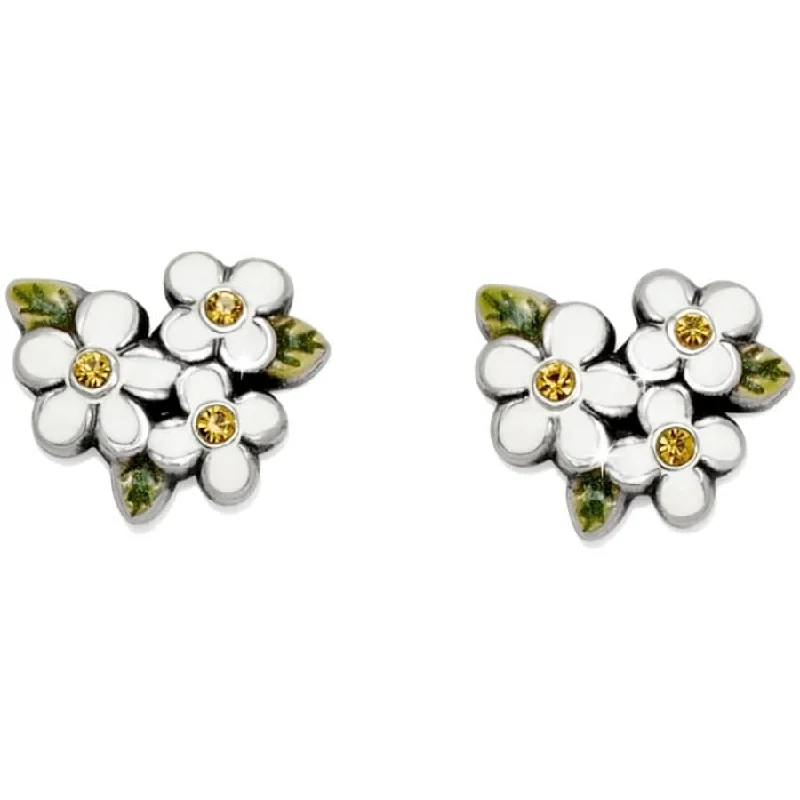 Women's Earrings – Elegant Designs for Every Personality--Always Mini Post Earrings