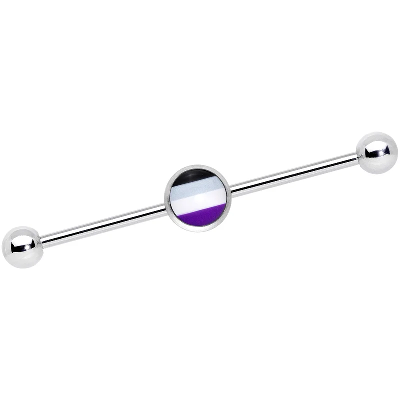 Women's Earrings – Elegant Designs for Every Personality--14 Gauge Black Gray Purple Asexual Pride Flag Industrial Barbell 38mm
