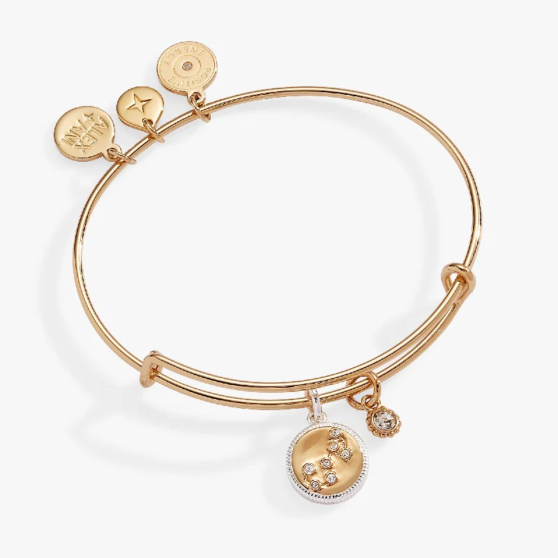 Women's Bangles with Rhinestones-Scorpio Zodiac Charm Bangle