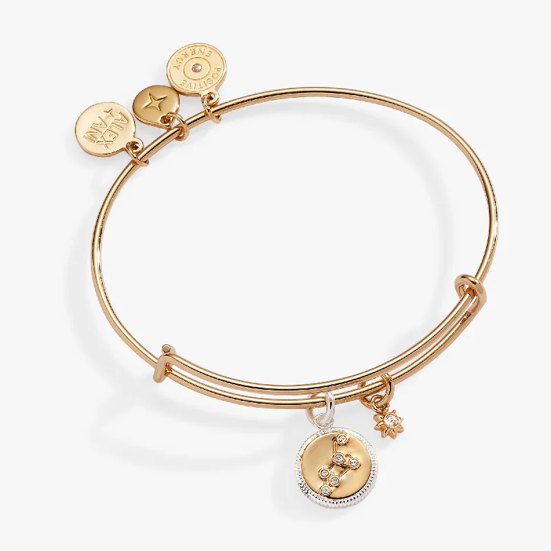 Unique Wedding Bangles for Women-Leo Zodiac Charm Bangle