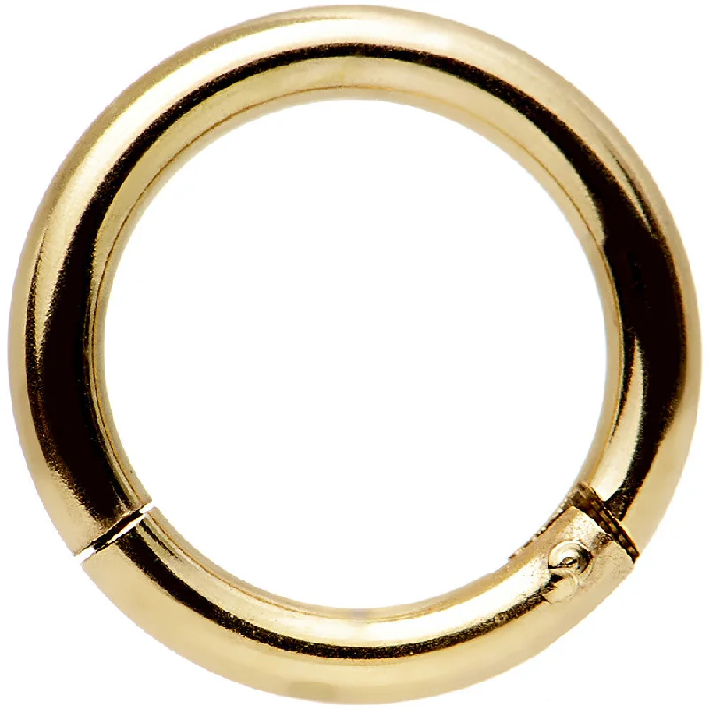 Classic Silver Lip Rings for Simple Appeal14 Gauge 5/16 Gold Tone Anodized Hinged Segment Ring Classic Silver Lip Rings for Simple Appeal14 Gauge 5/16 Gold Tone Anodized Hinged Segment Ring