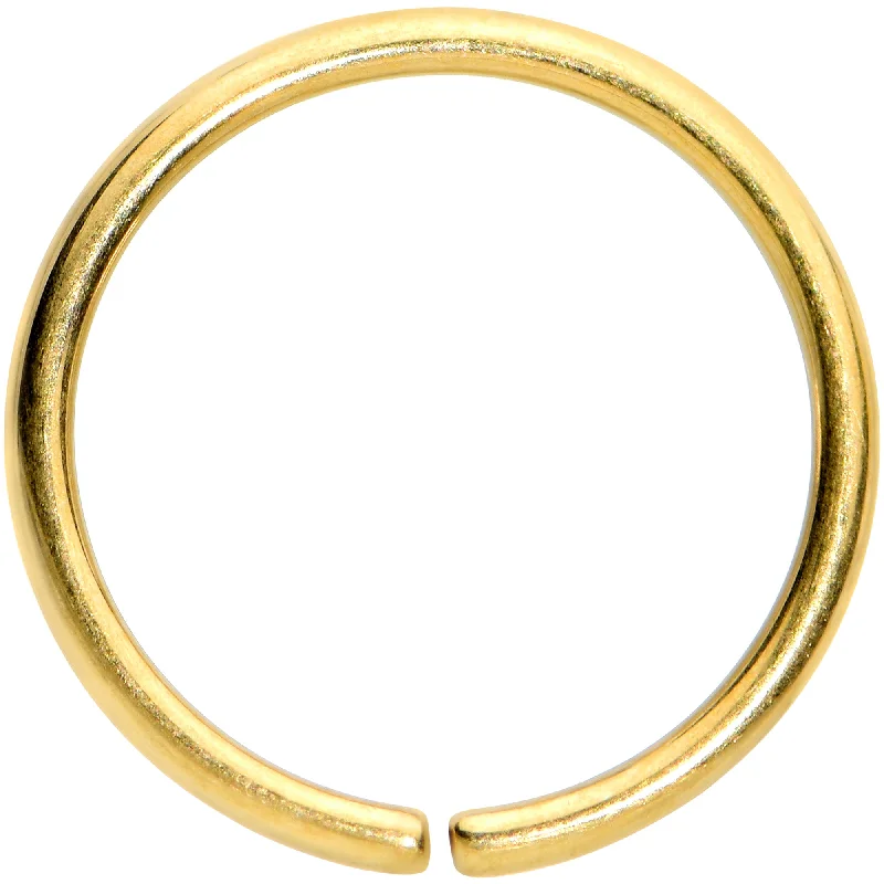 Women's Earrings – Elegant Designs for Every Personality--18 Gauge 3/8 Gold Tone PVD Grade 23 Titanium Bendable Hoop Ring