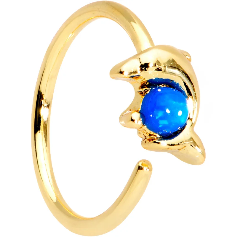Women's Earrings – Elegant Designs for Every Personality--20 Gauge Blue Gem Gold Tone Anodized Dolphin Seamless Circular Ring