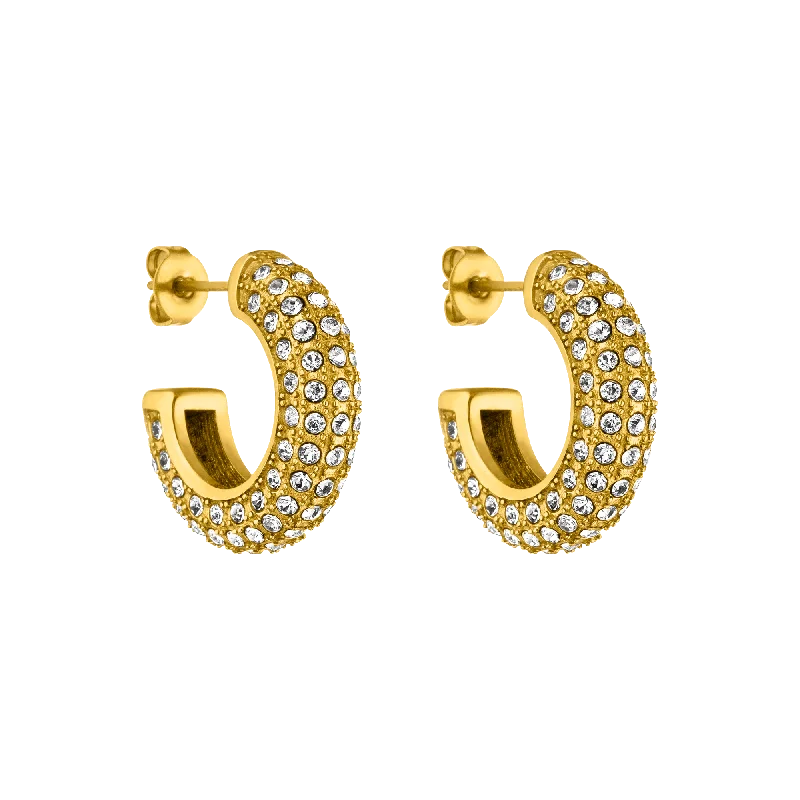 Women's Earrings – Elegant Designs for Every Personality--Big Glitter Ohrringe