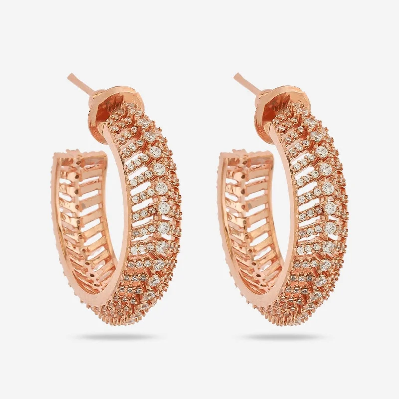 Women's Earrings – Elegant Designs for Every Personality--Zircon Earring 169446