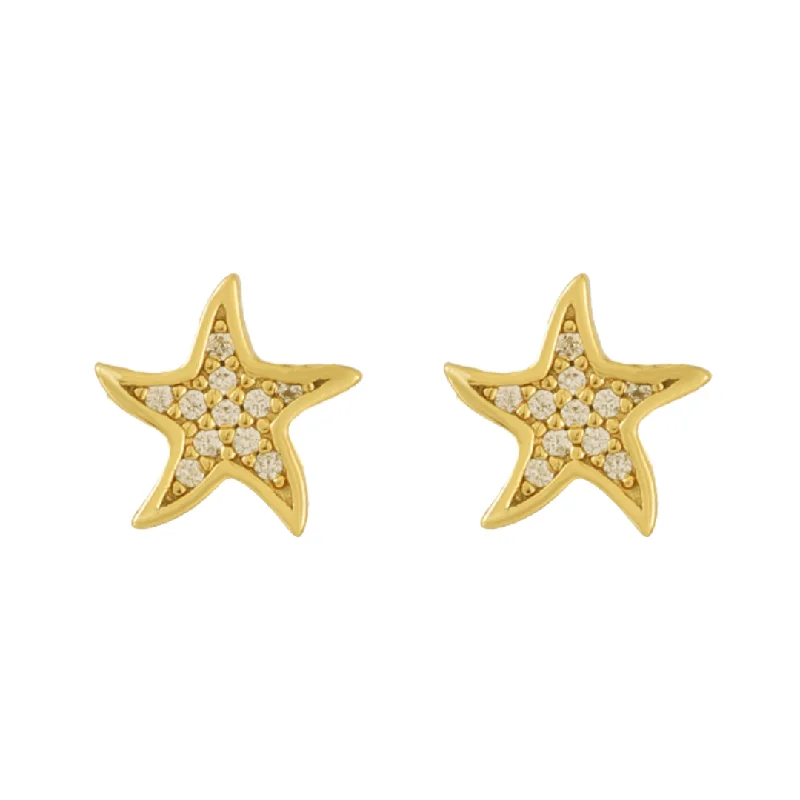 Women's Earrings – Elegant Designs for Every Personality--North Star Earrings